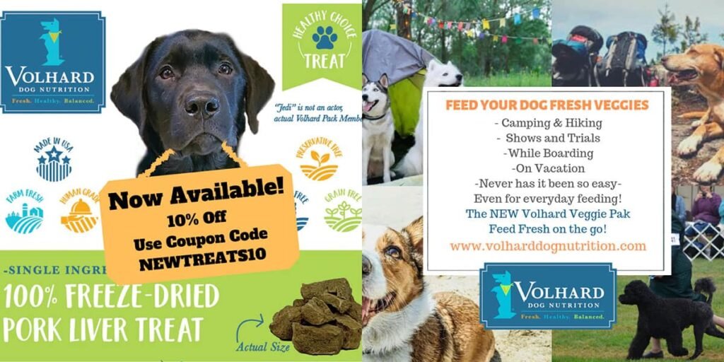 Feed your dog fresh veggies